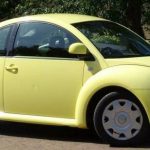geele-beetle