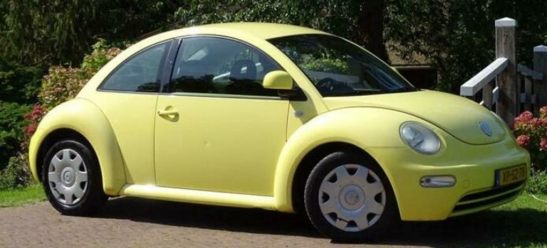 geele-beetle