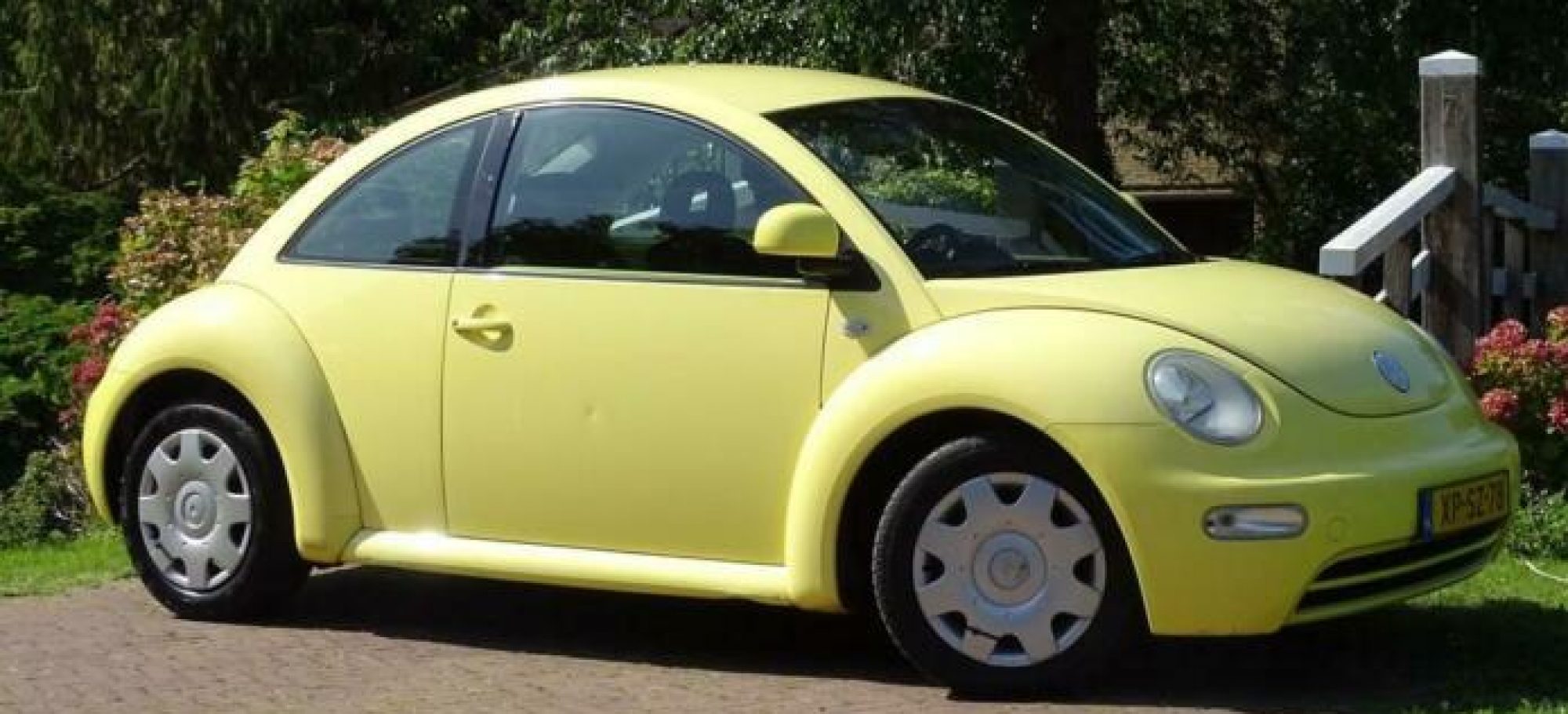 geele-beetle