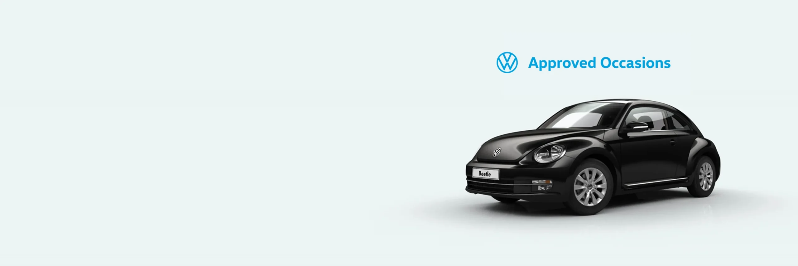 Beetle_Hero_XXL